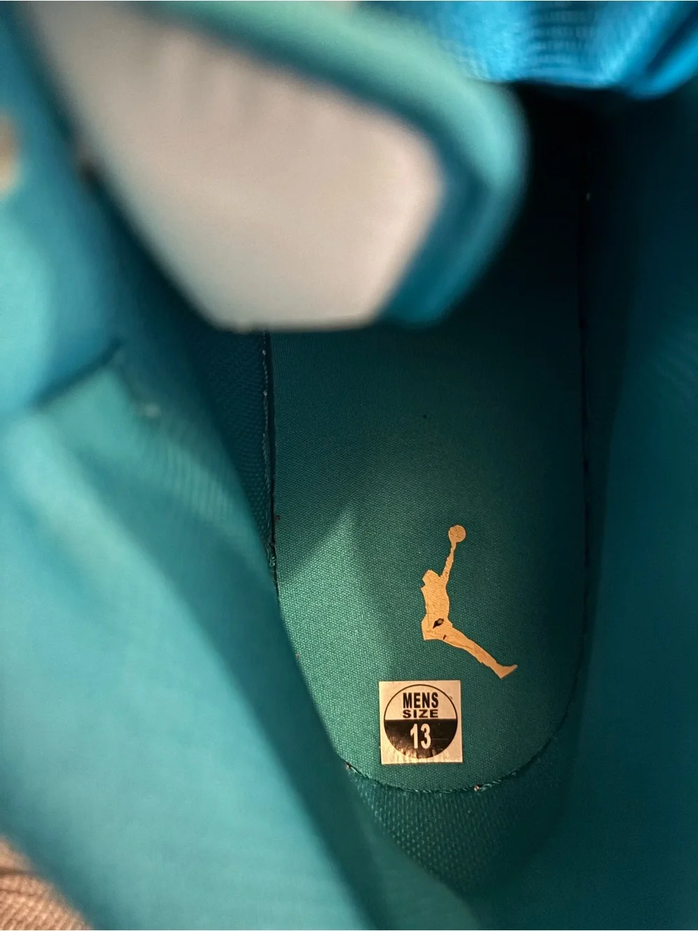 Jordan nike air